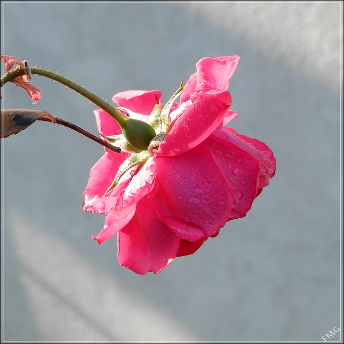 http://img110.xooimage.com/files/0/3/8/pc090537_ck_v-4db57c8.jpg