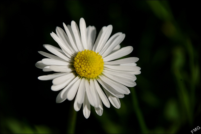http://img110.xooimage.com/files/0/4/e/imgp9330_v-4d6ffd3.jpg