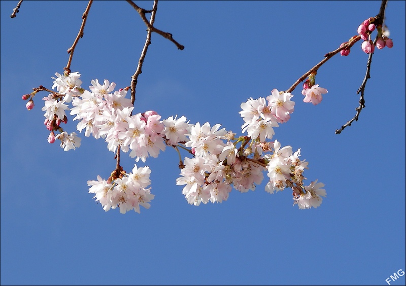 http://img110.xooimage.com/files/0/6/5/p2160121_c_v-4e854e5.jpg