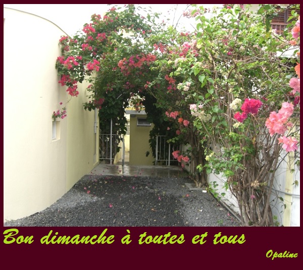 Bonjour du mois d'Avril 2019 - Page 4 Dimanche-54435ca