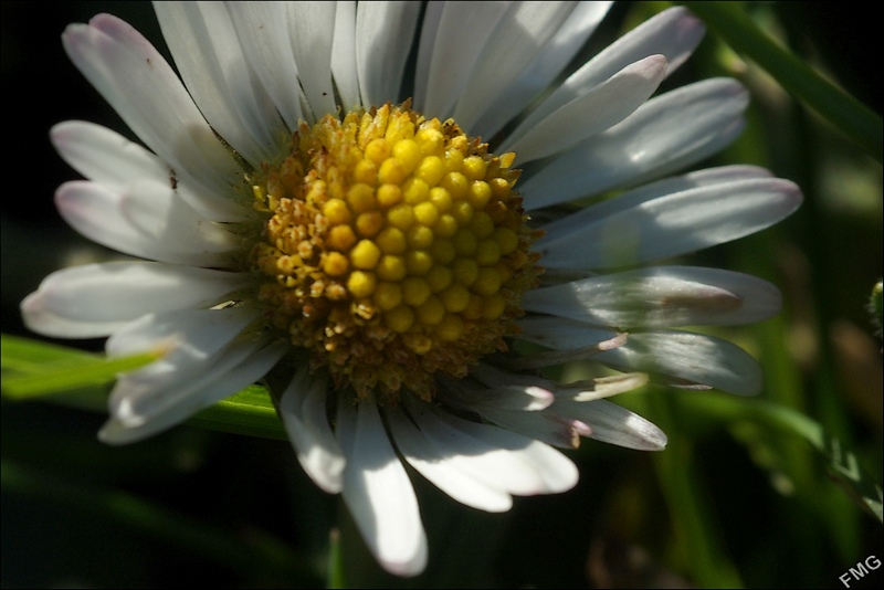 http://img110.xooimage.com/files/0/7/7/fgst0371_v-4e74a69.jpg