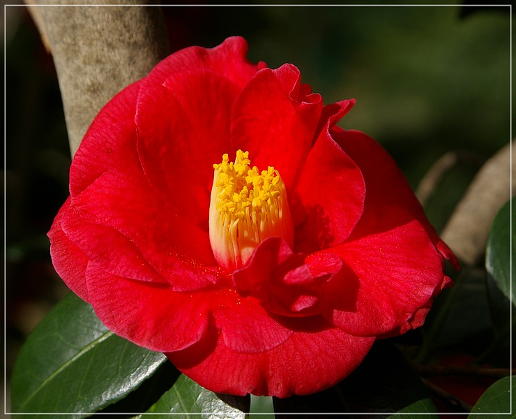 http://img110.xooimage.com/files/0/7/f/imgp1763_gc_v-4e6b768.jpg