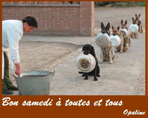 bonjour du mois de Février 2019 Samedi-15-557e841