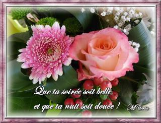 Bonjour / Bonsoir d' AOUT - Page 5 Url-4b47c50