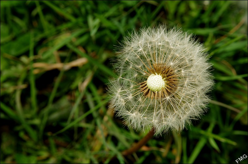 http://img110.xooimage.com/files/0/e/c/imgp3361_v-4d87956.jpg