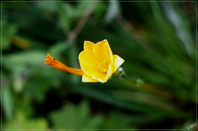 http://img110.xooimage.com/files/1/5/c/imgp2199m_v-4e7c254.jpg
