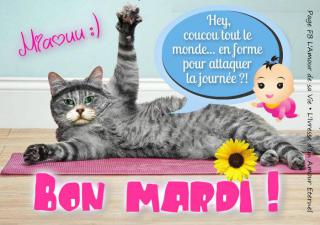 Bonjour / Bonsoir d' AOUT - Page 5 Mardi_071-52f1667
