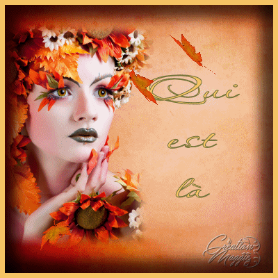 Qui est en ligne ?