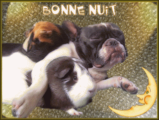 Bonjour /bonsoir de Septembre - Page 3 2c1c8bf8-4c858b4