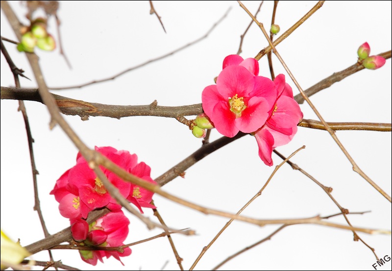 http://img110.xooimage.com/files/1/9/7/k5__3417_c_v-4db3106.jpg