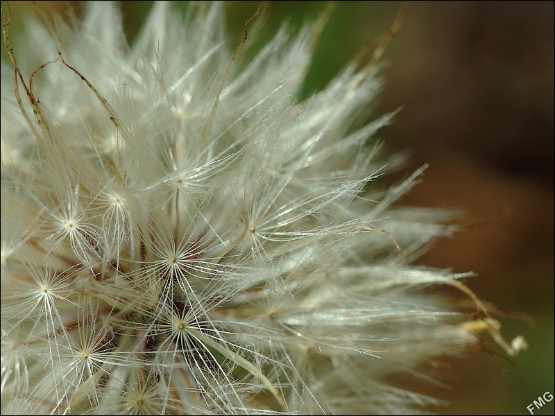 http://img110.xooimage.com/files/1/c/8/mxfg2716_v-4c0e91f.jpg