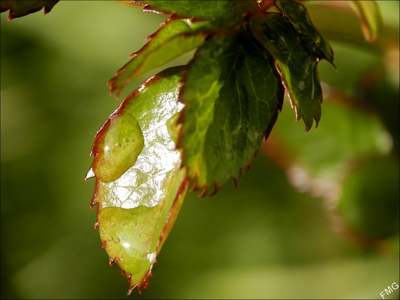 http://img110.xooimage.com/files/1/c/f/p2190763_v-4e7c805.jpg