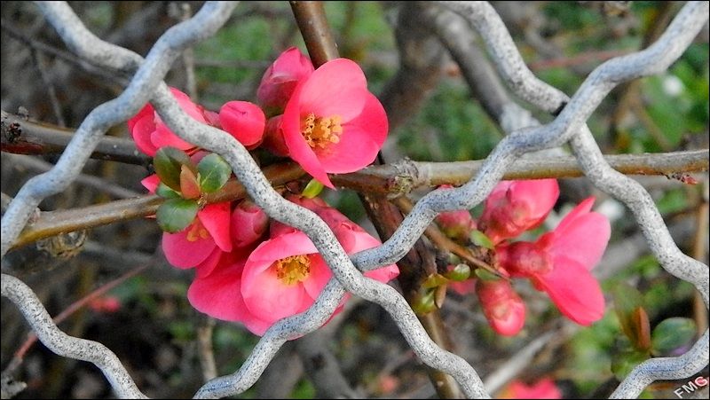 http://img110.xooimage.com/files/1/d/c/p2250179_e_v-4db14c3.jpg