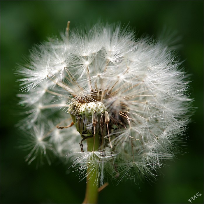 http://img110.xooimage.com/files/2/1/c/imgp9391_ck_v-4d75e61.jpg