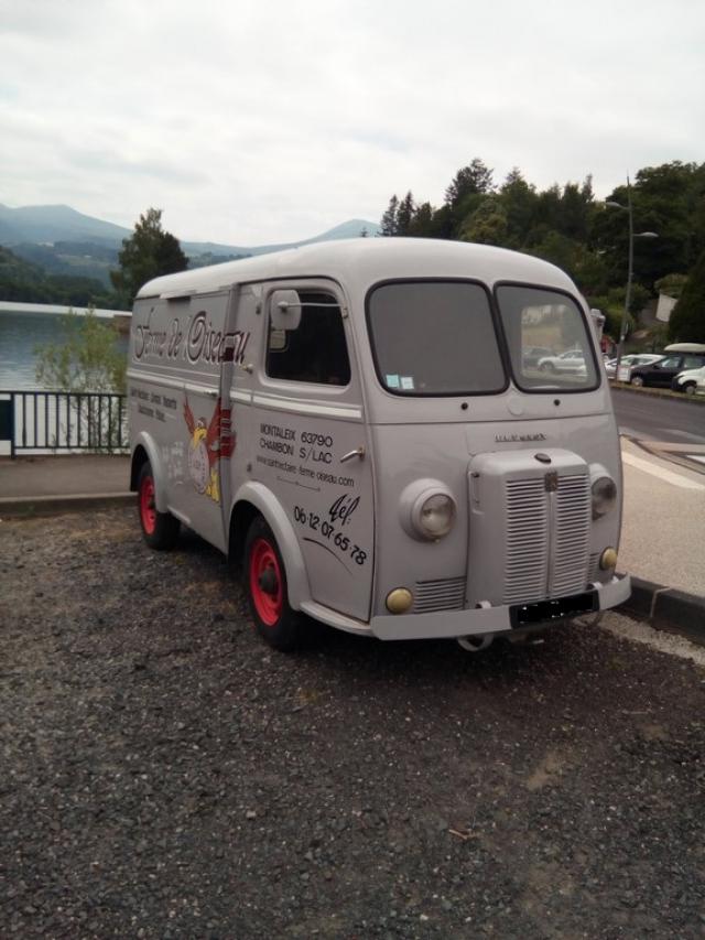 Un ptit goret. Img_20190709_144028-copier--565fa46