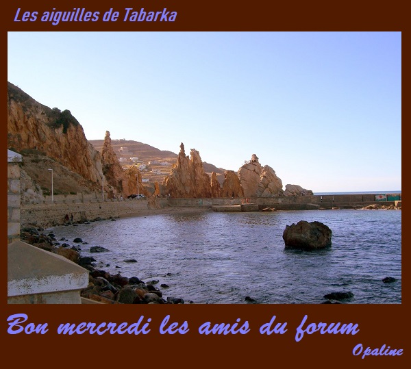 bonjour du mois de Février 2019 Mercredi-20-54cfbb9