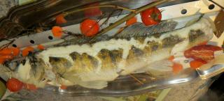 Le sandre Img_2101-4e8ab6f