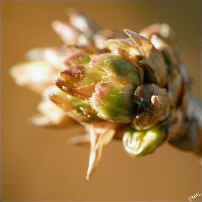 http://img110.xooimage.com/files/2/7/3/p2160662_ck_v-4e7651c.jpg