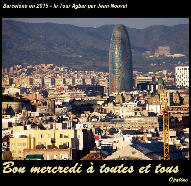Les bonjour et bonne nuit du 1er janvier 2019 AU 1er Janvier 2020 100_7908-5433aec