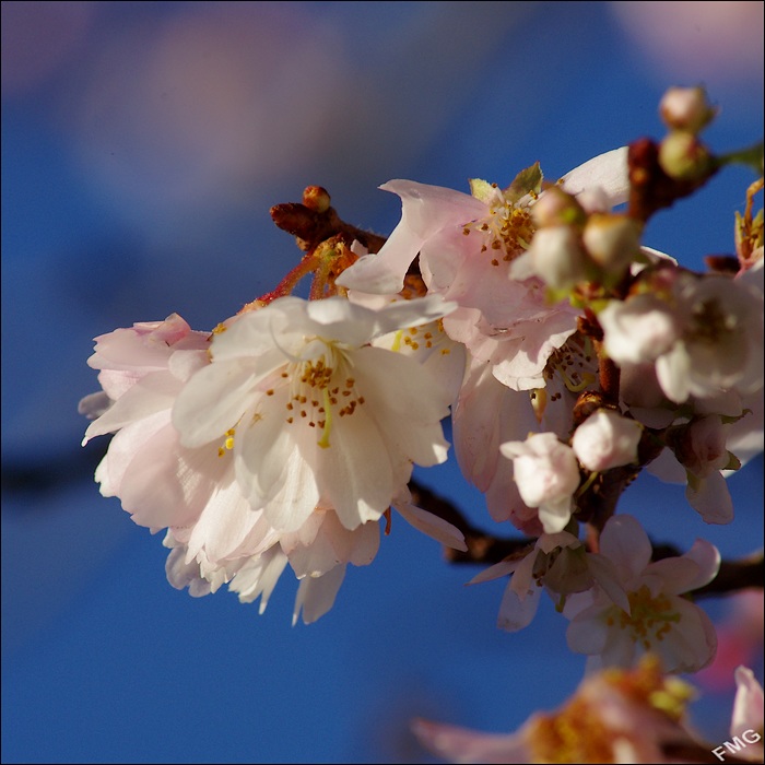 http://img110.xooimage.com/files/2/f/b/k5__3426_ck_v-4db5449.jpg
