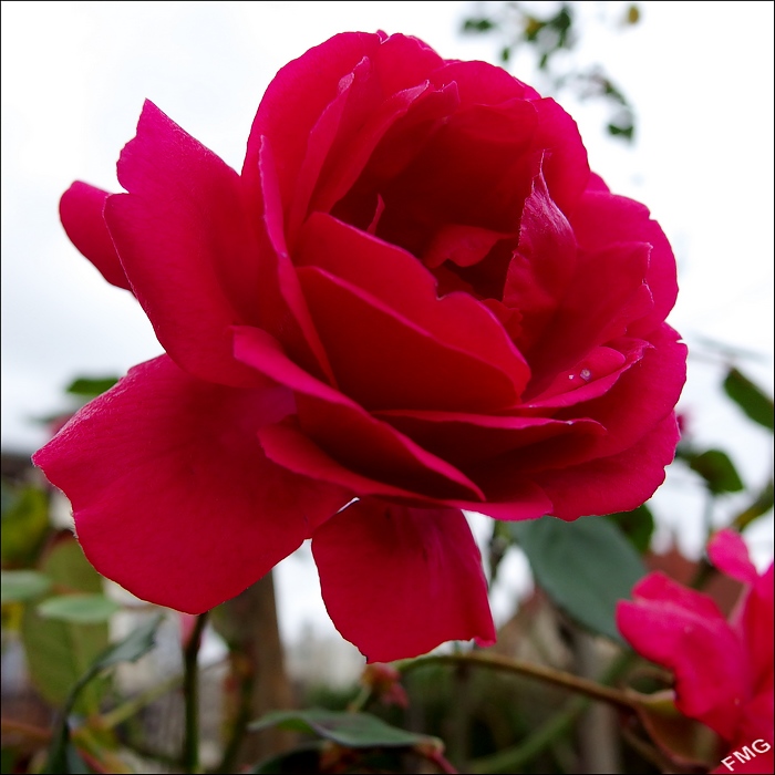 http://img110.xooimage.com/files/3/4/c/mxfg4251_k_v-4e0027d.jpg