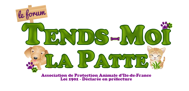 Tends-moi la patte