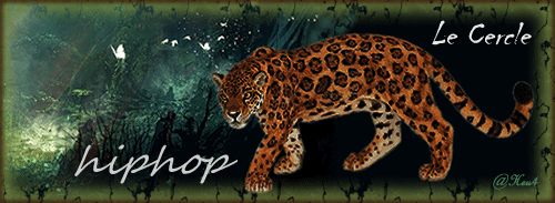 hiphop2-49b1be6.gif