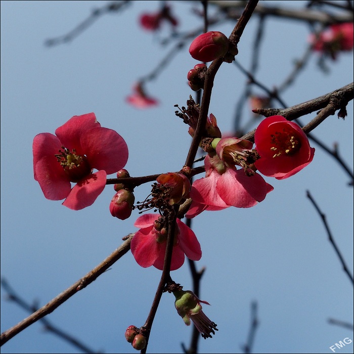 http://img110.xooimage.com/files/3/9/a/fgst0339_k_v-4e70df5.jpg