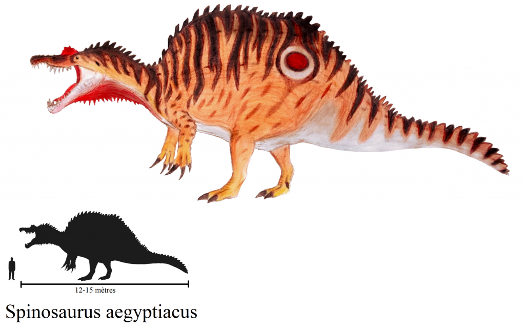 spinosaurus-aegyptiacus-4c21fac.png