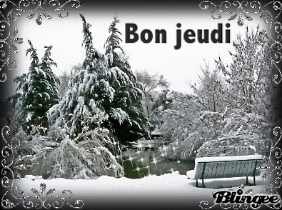 JANVIER : En janvier, le paysage n'a rien - Page 3 1---hiver-jeudi-4dffcea