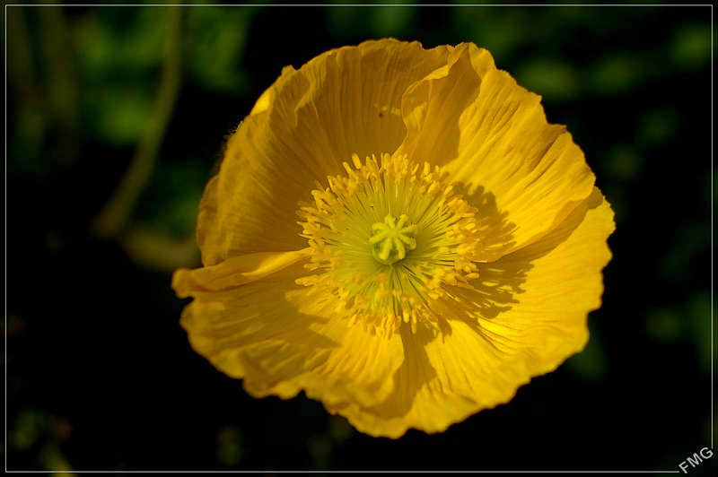 http://img110.xooimage.com/files/4/1/d/imgp3767m_v-4e6b47c.jpg