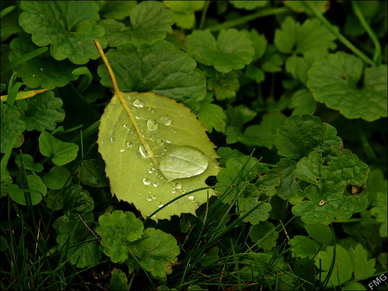 http://img110.xooimage.com/files/4/5/4/k5__3153_c_v-4d528a9.jpg