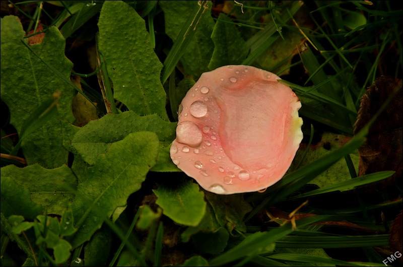 http://img110.xooimage.com/files/4/6/7/k5__3147_v-4d52899.jpg