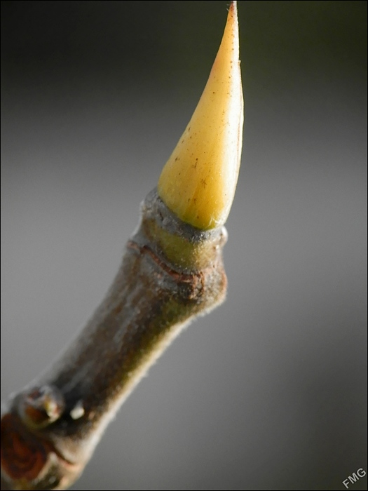 http://img110.xooimage.com/files/5/1/6/p2190748_p_v-4e7c6c9.jpg