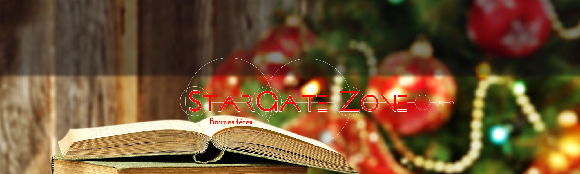 SGZ V6.0 : Nova - Page 2 Head_fetes-555d463