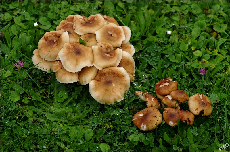 http://img110.xooimage.com/files/5/2/7/k5__2911_v-4d1abb7.jpg