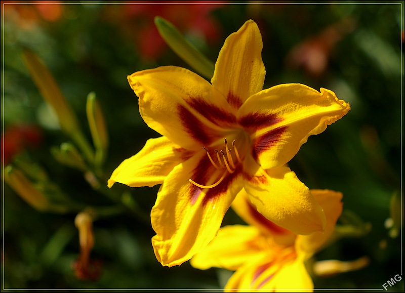 http://img110.xooimage.com/files/5/3/d/imgp9261_c_v-4d8e674.jpg