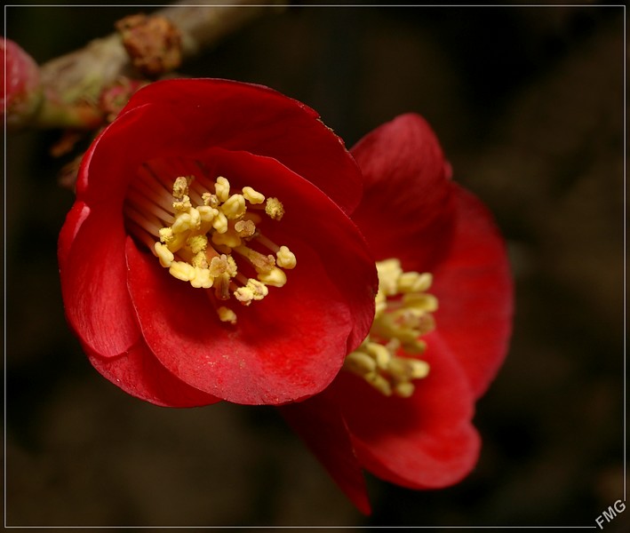 http://img110.xooimage.com/files/5/b/6/imgp6303h_d_v-4db11b0.jpg