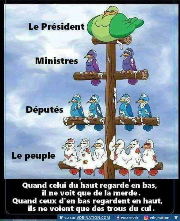 Images dessins et vidéos -en vrac - pour sourire ou s'étonner 27657343_21765307...108159_n-53f66c1