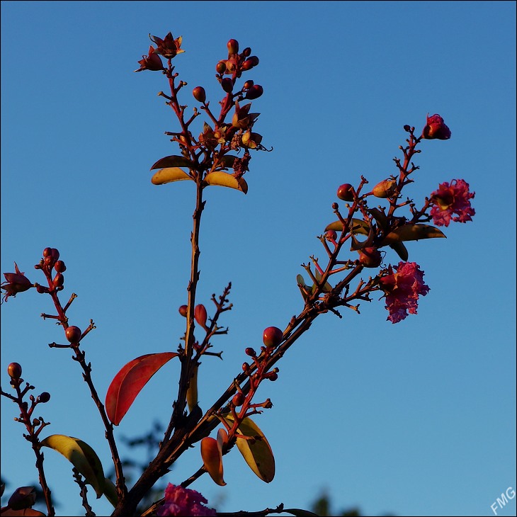 http://img110.xooimage.com/files/5/e/7/mxfg3555_k_v-4ccb6e3.jpg