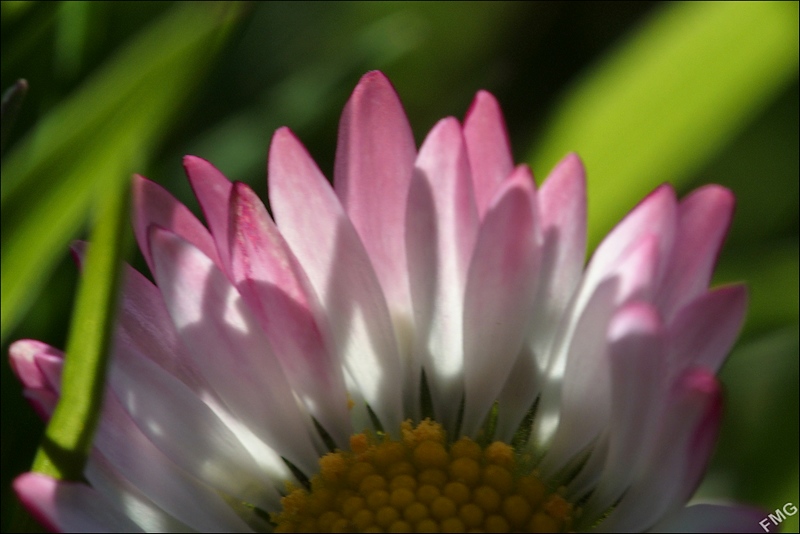 http://img110.xooimage.com/files/6/2/b/fgst0367_v-4e7478f.jpg