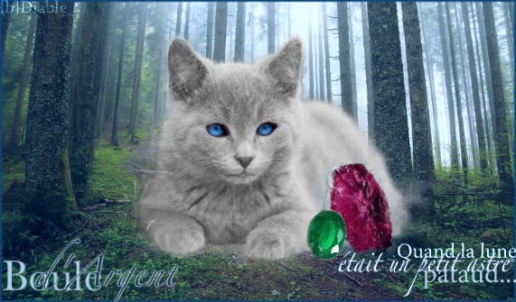 En honneur du nouveau personnage... Kit pour Boule d'Argent. Image-4945eec