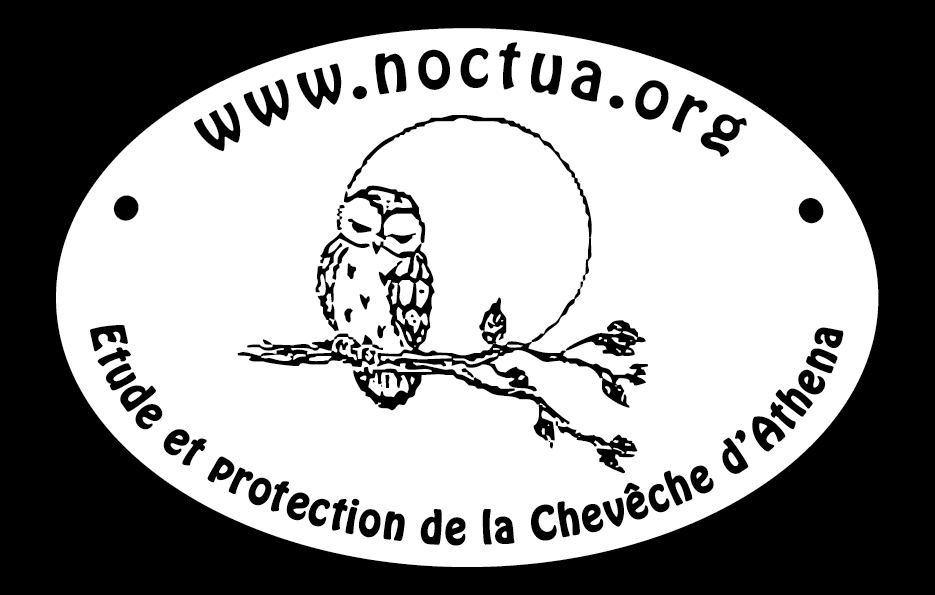 Qui est en ligne ?