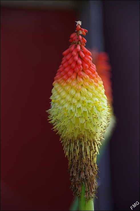 http://img110.xooimage.com/files/6/e/e/k5__1020_p_v-4baf1d6.jpg
