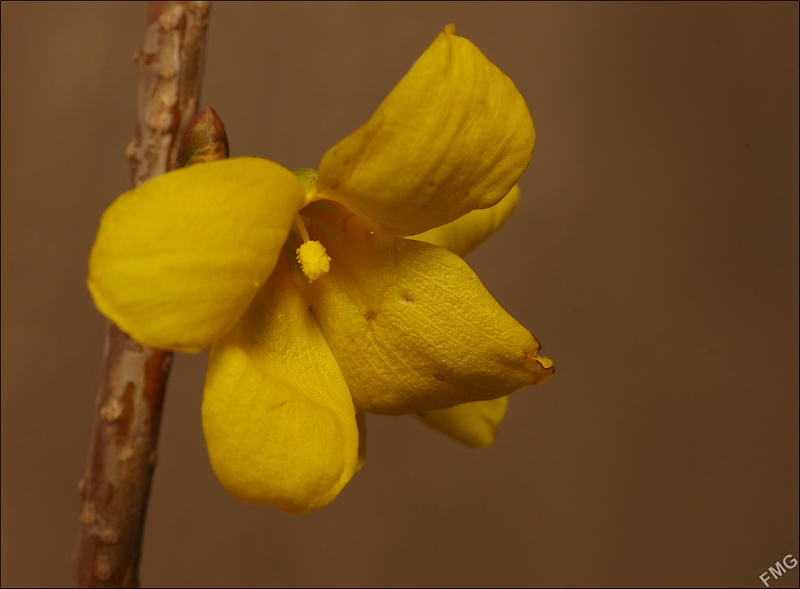 http://img110.xooimage.com/files/7/0/c/imgp9572_c_v-4e82561.jpg