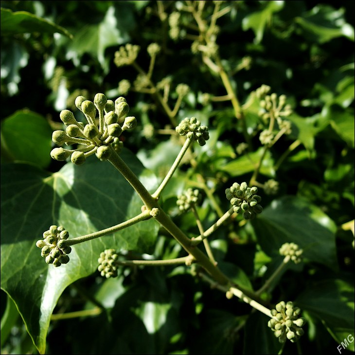 http://img110.xooimage.com/files/7/1/7/mxfg3542_k_v-4ccb69a.jpg