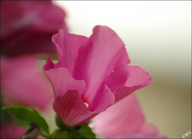http://img110.xooimage.com/files/7/6/e/k5__1310_c_v-4c21864.jpg