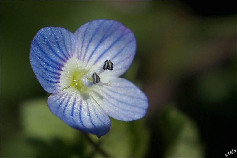 http://img110.xooimage.com/files/7/8/a/fgst0513_b_v-4e99c9b.jpg