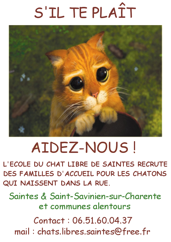 chat sexe saintes