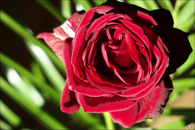 http://img110.xooimage.com/files/8/2/f/fgst0382_v-4e74907.jpg